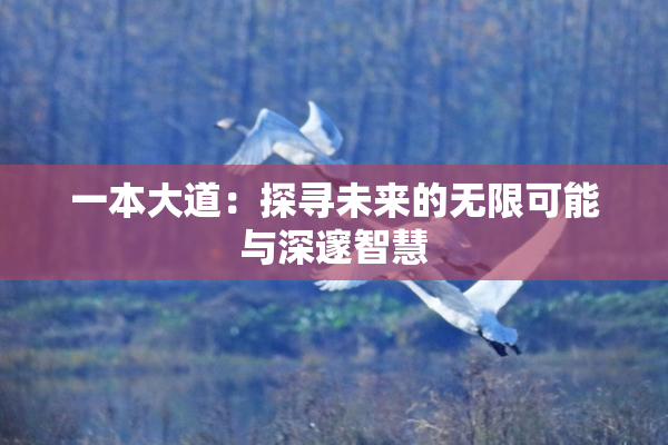 一本大道：探寻未来的无限可能与深邃智慧