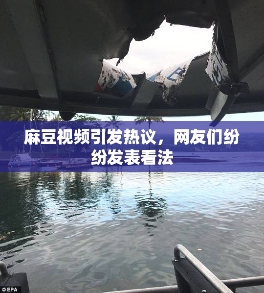 麻豆视频引发热议，网友们纷纷发表看法