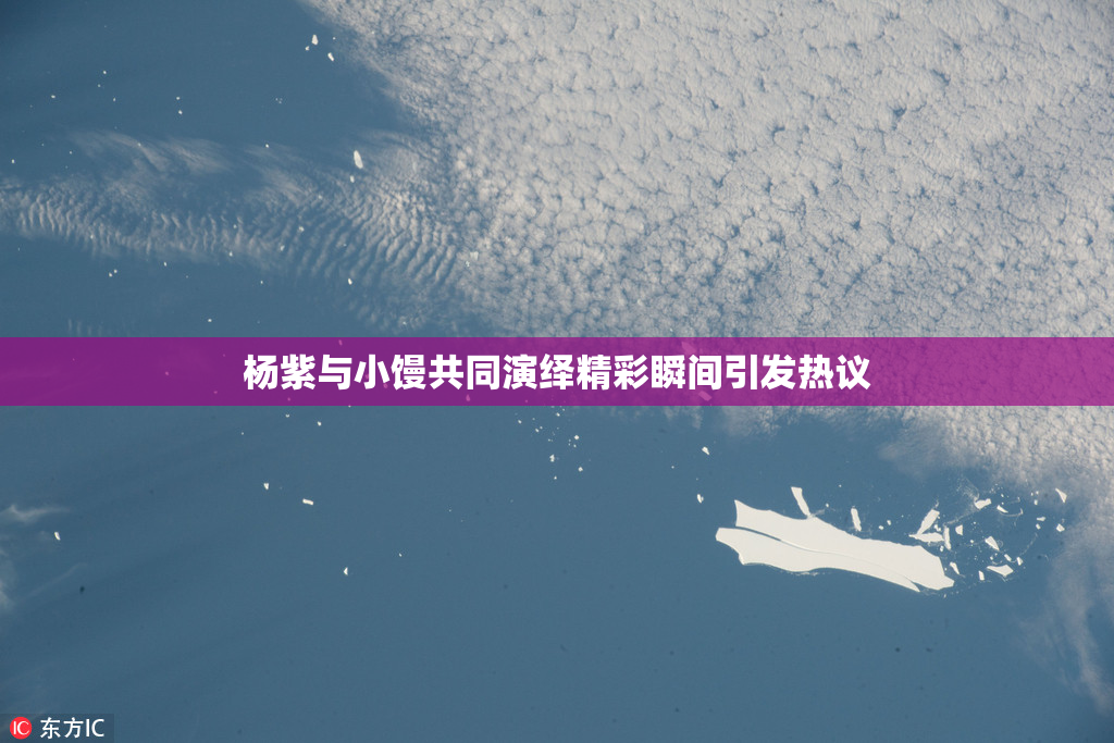 杨紫与小馒共同演绎精彩瞬间引发热议