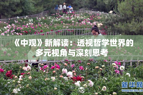 《中观》新解读：透视哲学世界的多元视角与深刻思考
