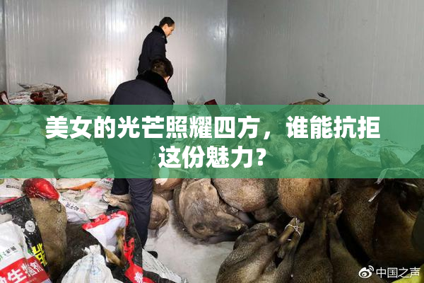美女的光芒照耀四方，谁能抗拒这份魅力？