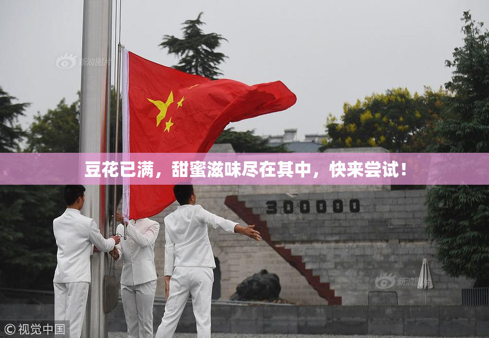 豆花已满，甜蜜滋味尽在其中，快来尝试！