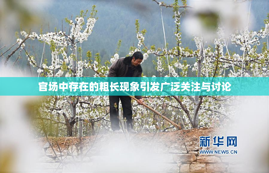 官场中存在的粗长现象引发广泛关注与讨论