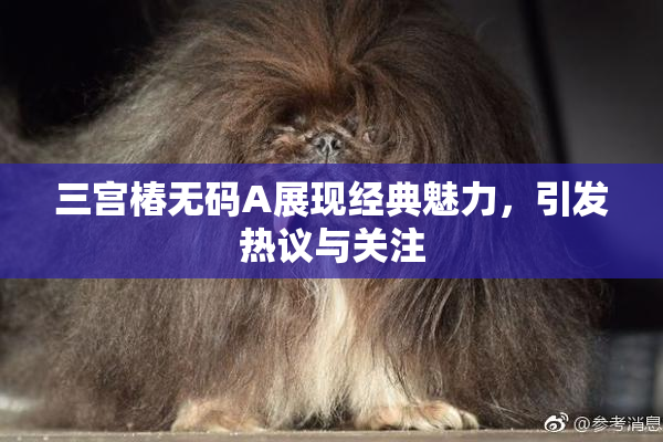 三宫椿无码A展现经典魅力，引发热议与关注