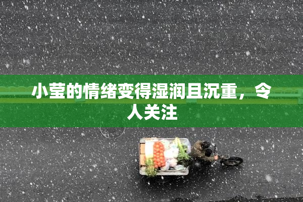 小莹的情绪变得湿润且沉重，令人关注