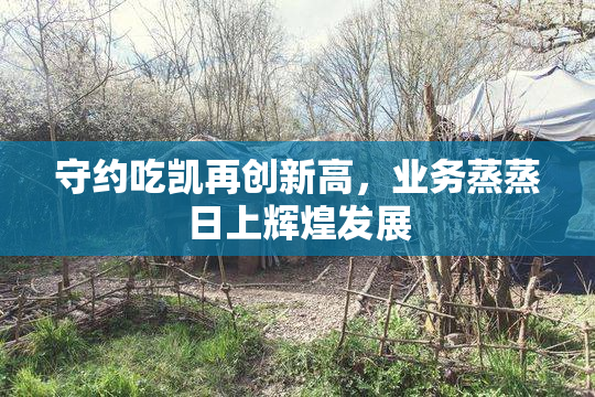 守约吃凯再创新高，业务蒸蒸日上辉煌发展