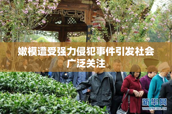 嫩模遭受强力侵犯事件引发社会广泛关注