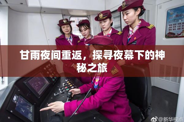 甘雨夜间重返，探寻夜幕下的神秘之旅