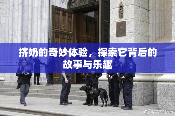 挤奶的奇妙体验，探索它背后的故事与乐趣