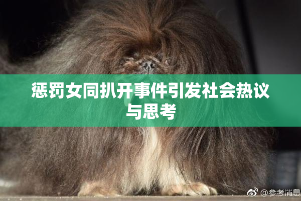 惩罚女同扒开事件引发社会热议与思考