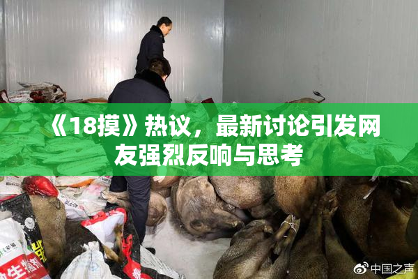 《18摸》热议，最新讨论引发网友强烈反响与思考