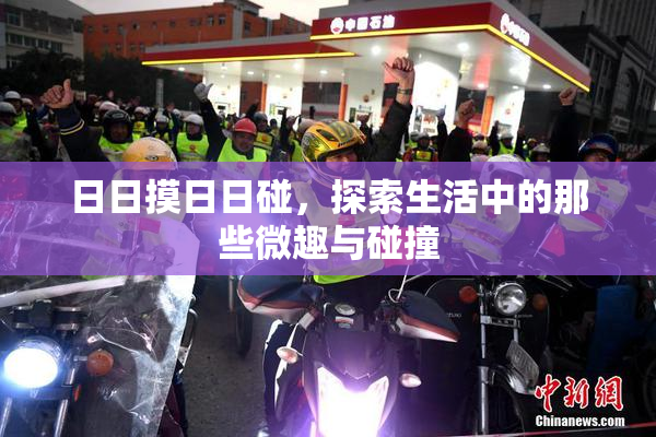日日摸日日碰，探索生活中的那些微趣与碰撞