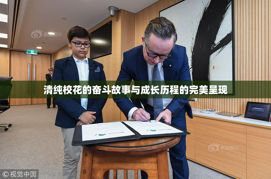 清纯校花的奋斗故事与成长历程的完美呈现