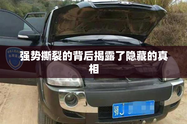 强势撕裂的背后揭露了隐藏的真相