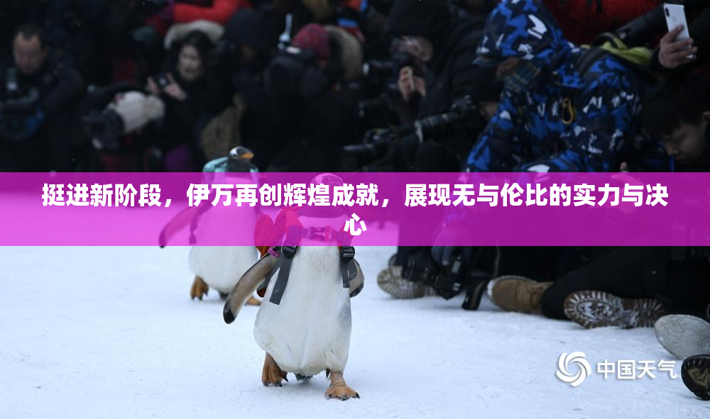 挺进新阶段，伊万再创辉煌成就，展现无与伦比的实力与决心