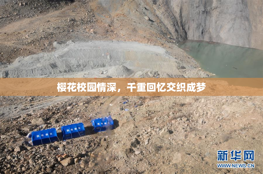 樱花校园情深，千重回忆交织成梦