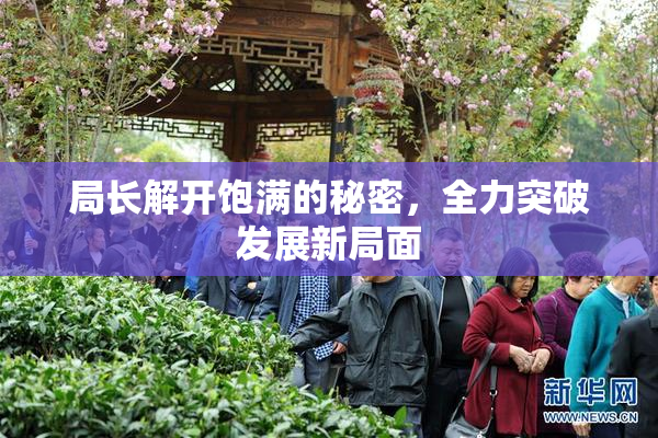局长解开饱满的秘密，全力突破发展新局面