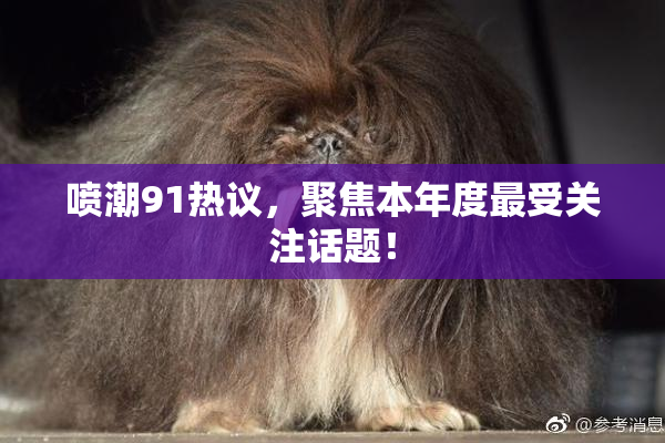 喷潮91热议，聚焦本年度最受关注话题！