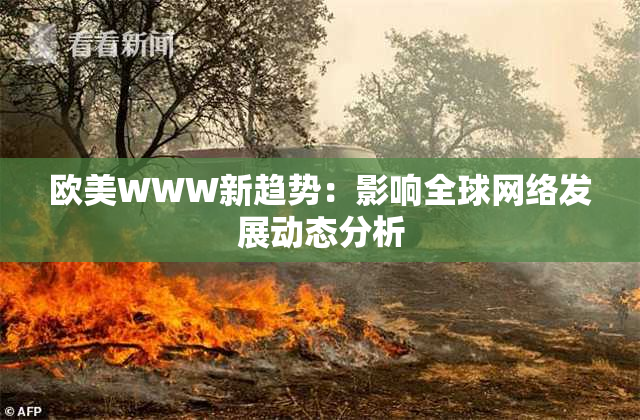 欧美WWW新趋势：影响全球网络发展动态分析