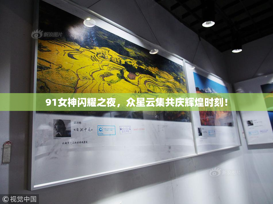 91女神闪耀之夜，众星云集共庆辉煌时刻！