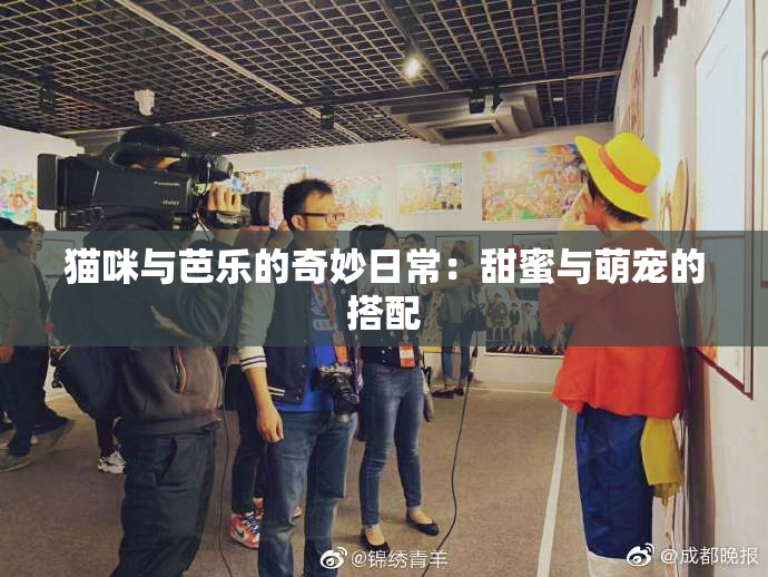 猫咪与芭乐的奇妙日常：甜蜜与萌宠的搭配