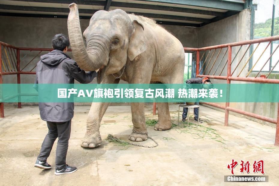 国产AV旗袍引领复古风潮 热潮来袭！