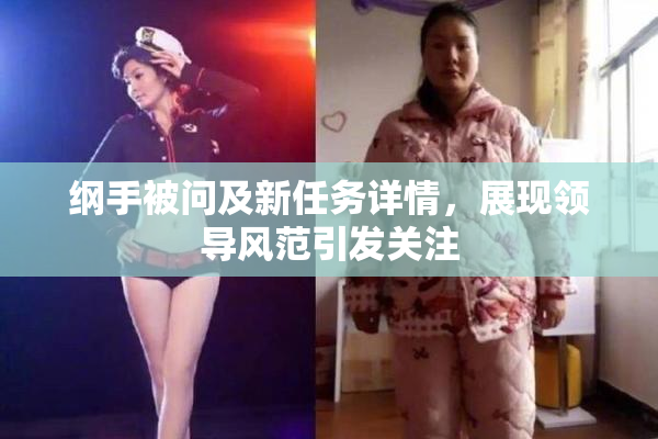 纲手被问及新任务详情，展现领导风范引发关注