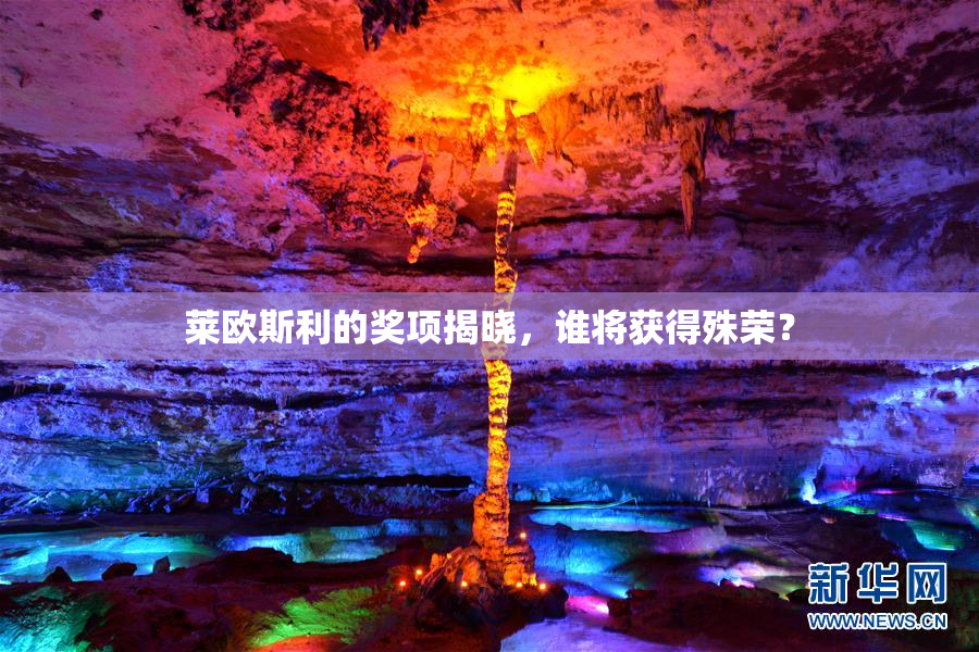 莱欧斯利的奖项揭晓，谁将获得殊荣？