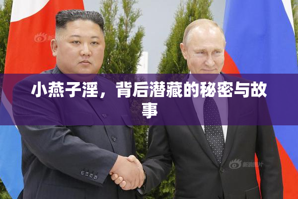 小燕子淫，背后潜藏的秘密与故事