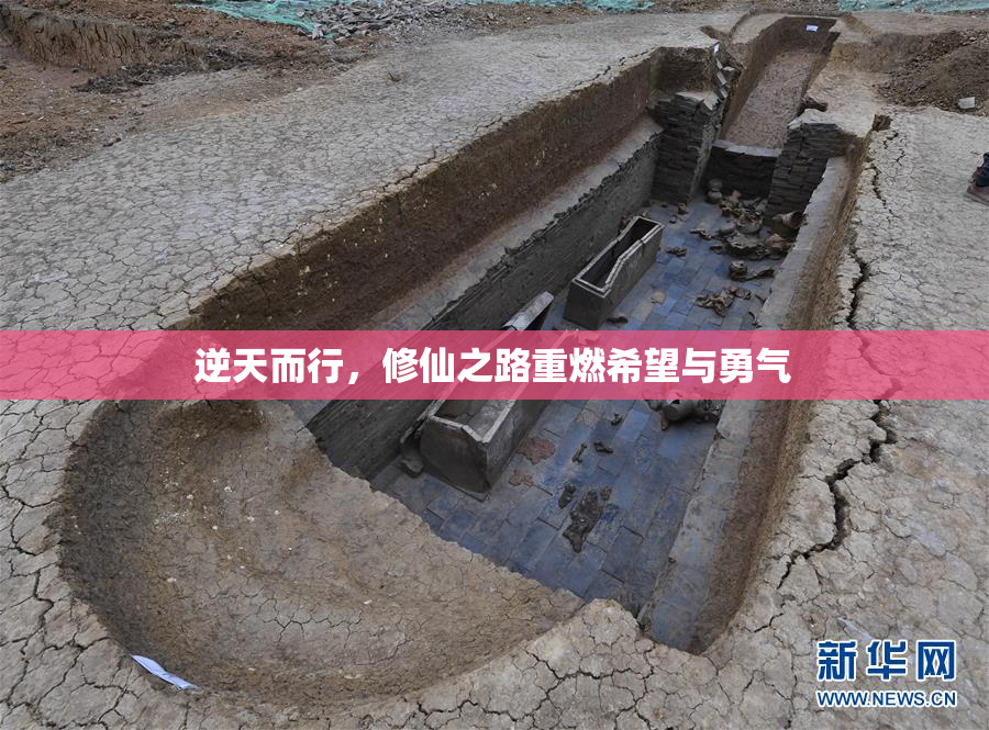 逆天而行，修仙之路重燃希望与勇气
