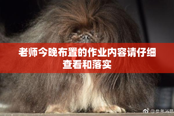 老师今晚布置的作业内容请仔细查看和落实
