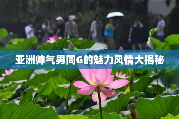 亚洲帅气男同G的魅力风情大揭秘