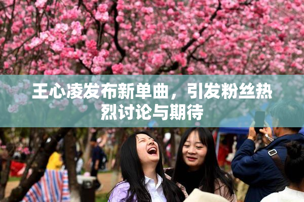 王心凌发布新单曲，引发粉丝热烈讨论与期待