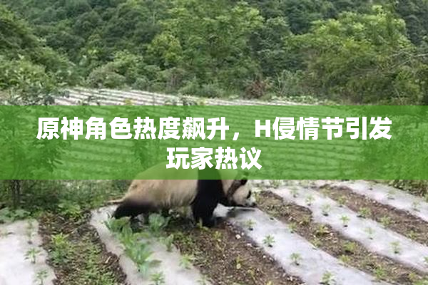 原神角色热度飙升，H侵情节引发玩家热议
