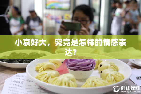 小哀好大，究竟是怎样的情感表达？