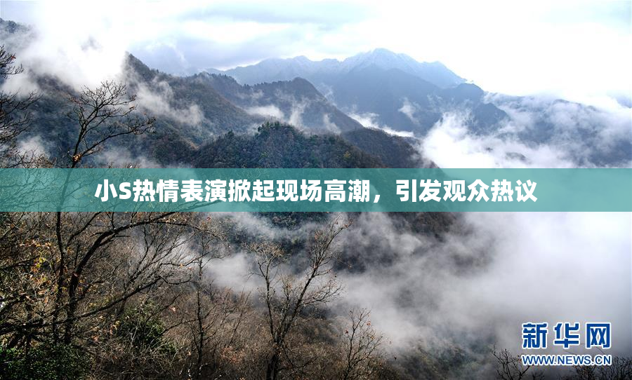 小S热情表演掀起现场高潮，引发观众热议