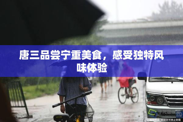 唐三品尝宁重美食，感受独特风味体验