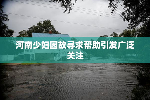河南少妇因故寻求帮助引发广泛关注