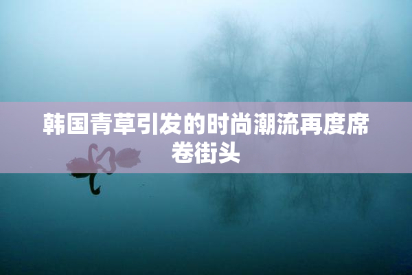 韩国青草引发的时尚潮流再度席卷街头