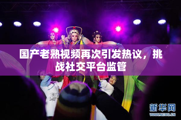 国产老熟视频再次引发热议，挑战社交平台监管