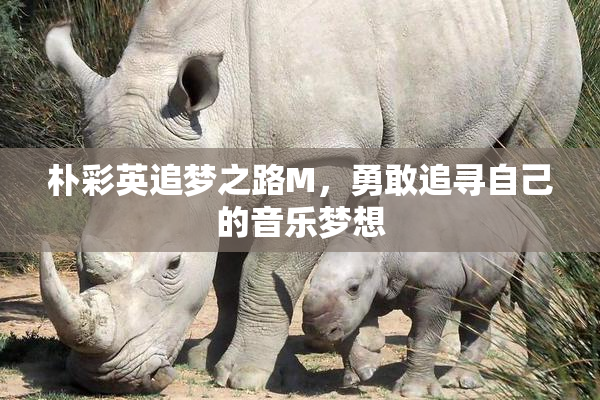 朴彩英追梦之路M，勇敢追寻自己的音乐梦想