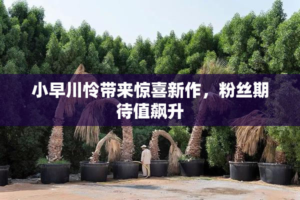 小早川怜带来惊喜新作，粉丝期待值飙升