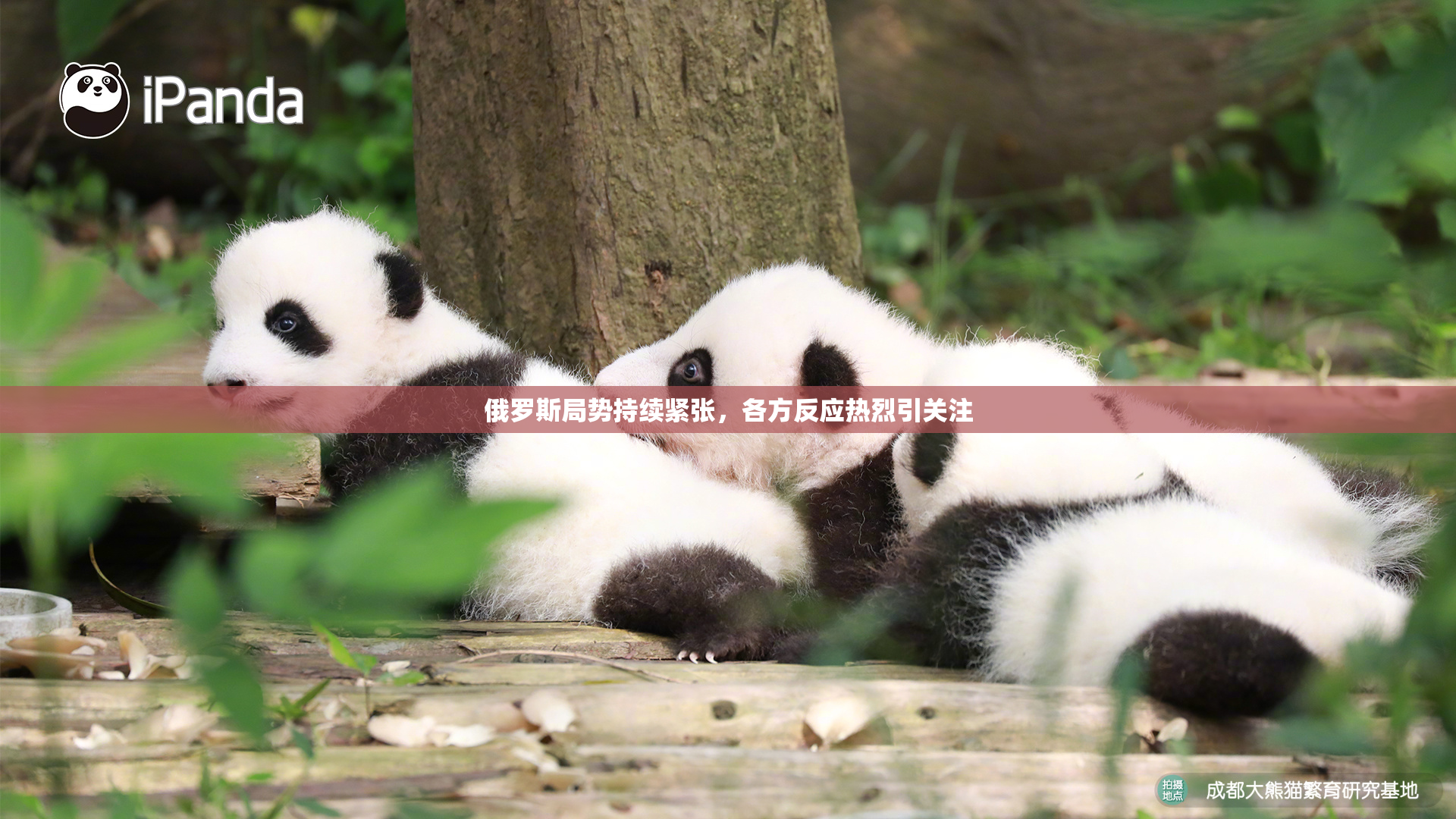 俄罗斯局势持续紧张，各方反应热烈引关注