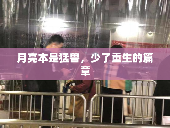 月亮本是猛兽，少了重生的篇章