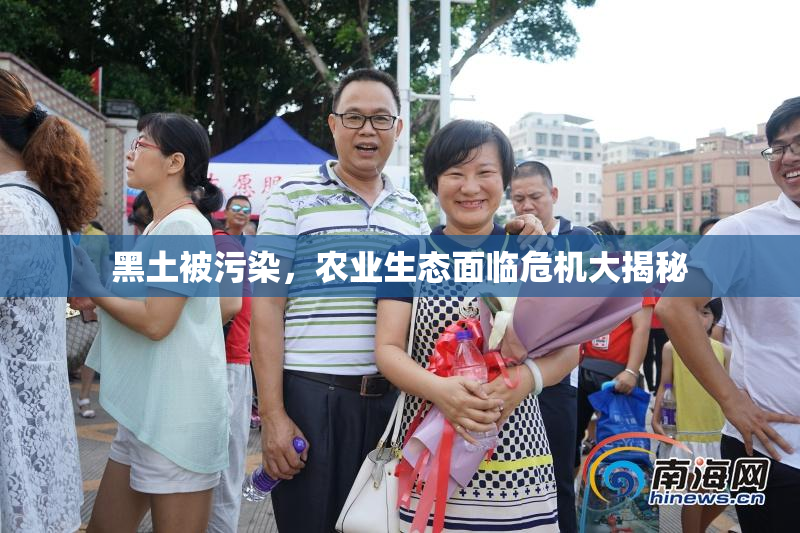 黑土被污染，农业生态面临危机大揭秘