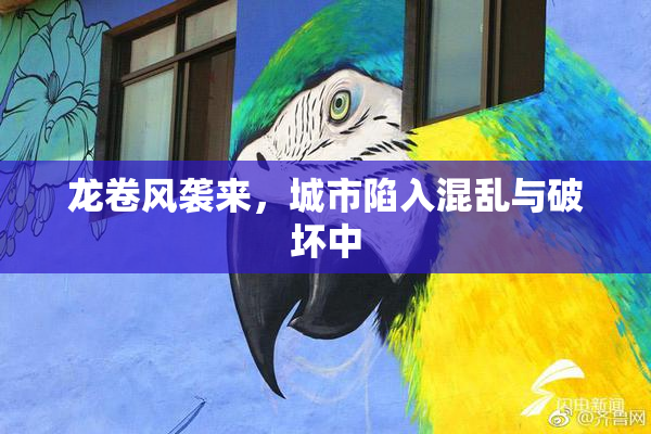 龙卷风袭来，城市陷入混乱与破坏中