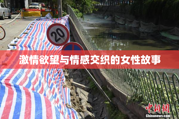 激情欲望与情感交织的女性故事