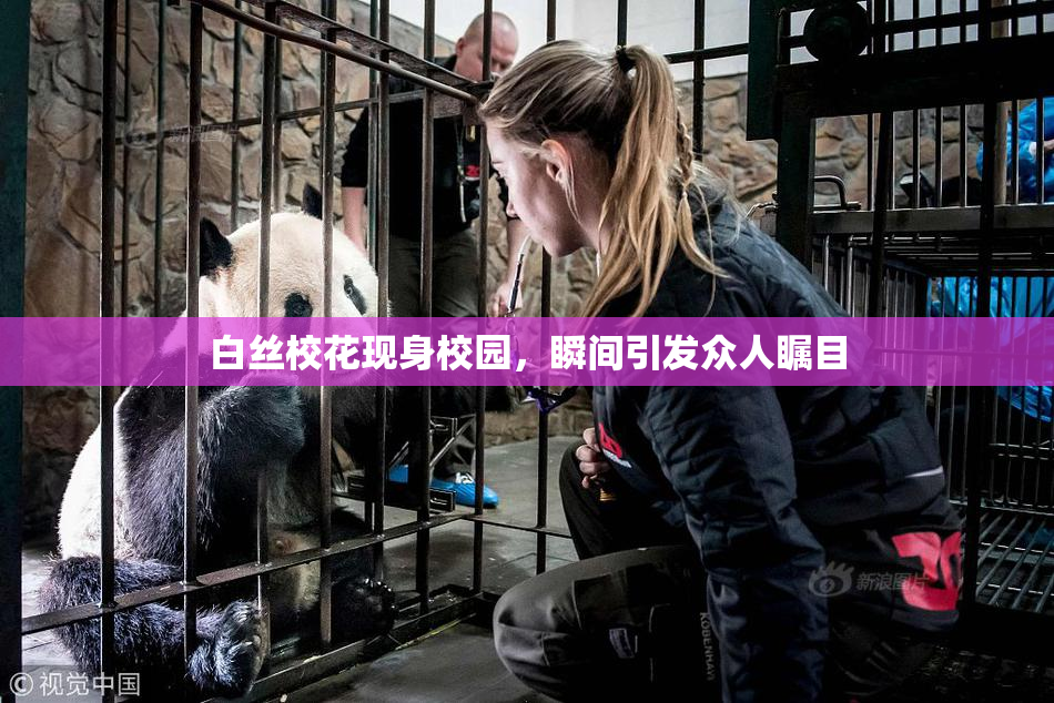 白丝校花现身校园，瞬间引发众人瞩目
