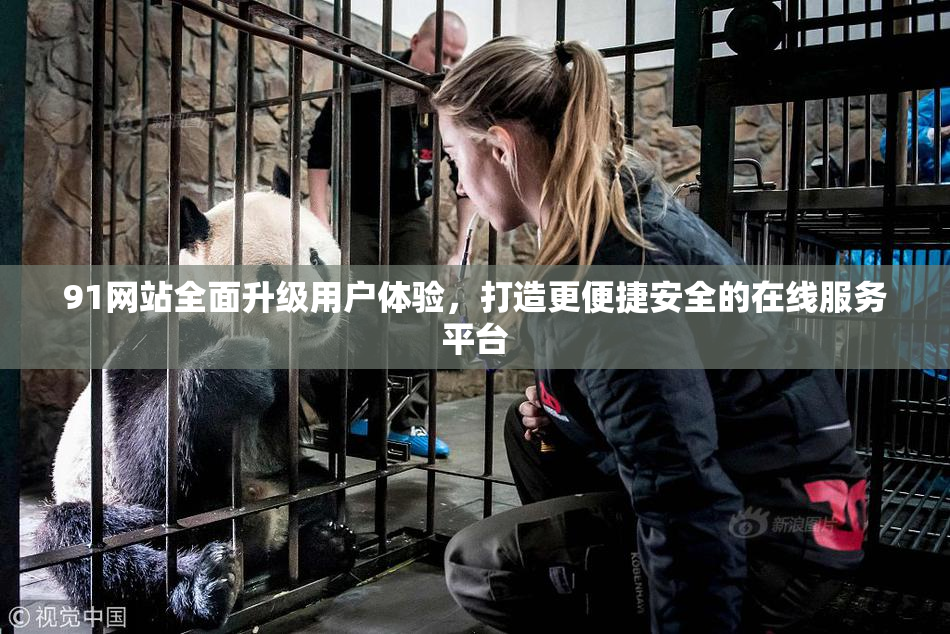 91网站全面升级用户体验，打造更便捷安全的在线服务平台