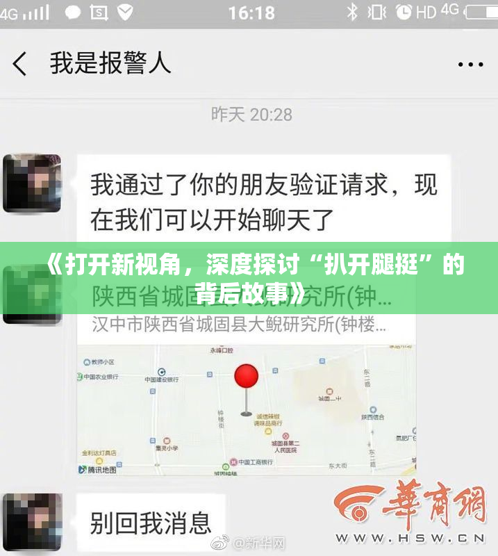 《打开新视角，深度探讨“扒开腿挺”的背后故事》